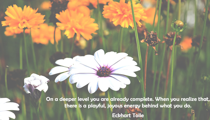 “on a deeper level you are already complete. when you realize that, there is a playful, joyous energy behind what you do.” eckhart tolle
